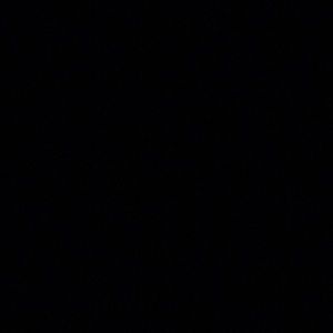 Meet your Posher, Gabby